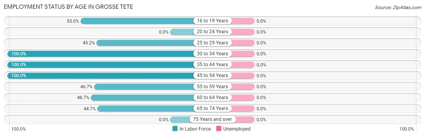 Employment Status by Age in Grosse Tete