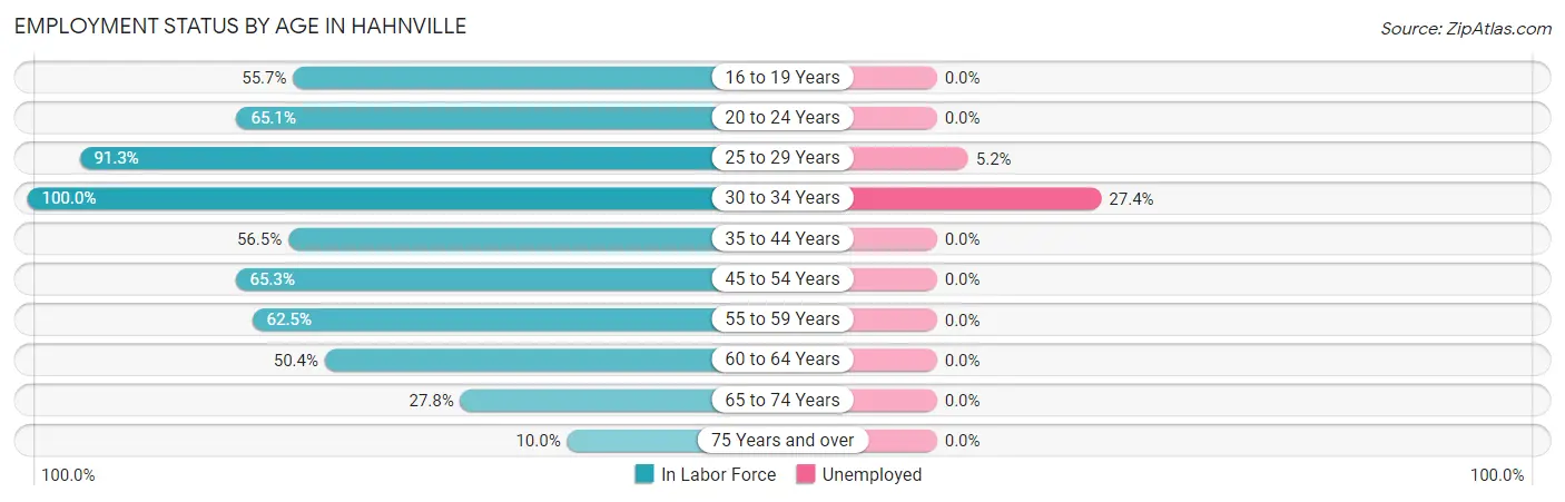 Employment Status by Age in Hahnville
