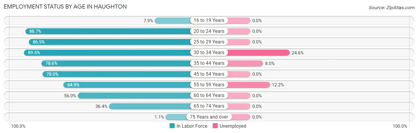 Employment Status by Age in Haughton
