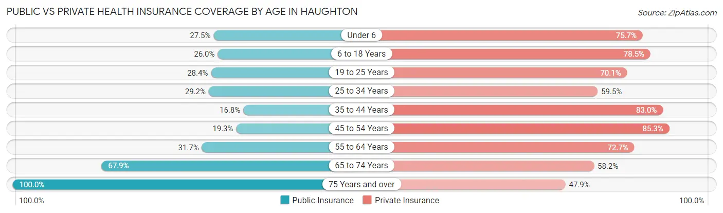 Public vs Private Health Insurance Coverage by Age in Haughton