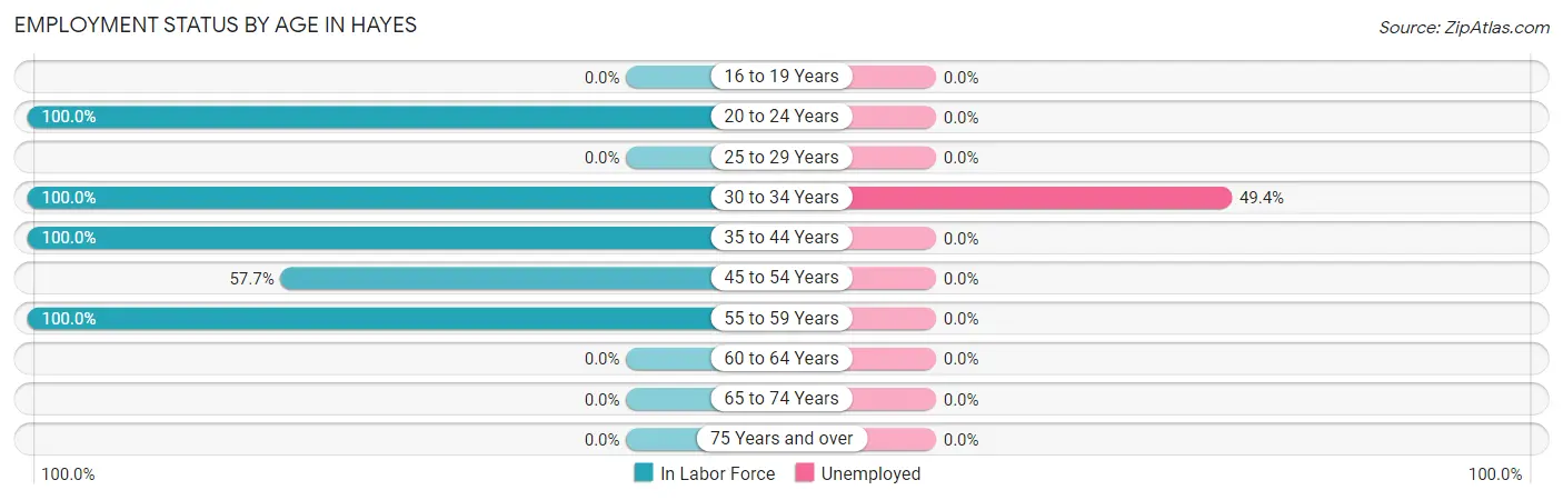 Employment Status by Age in Hayes