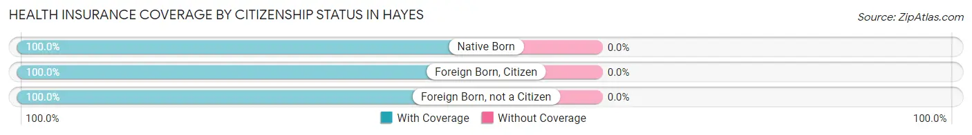 Health Insurance Coverage by Citizenship Status in Hayes