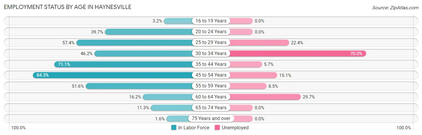 Employment Status by Age in Haynesville