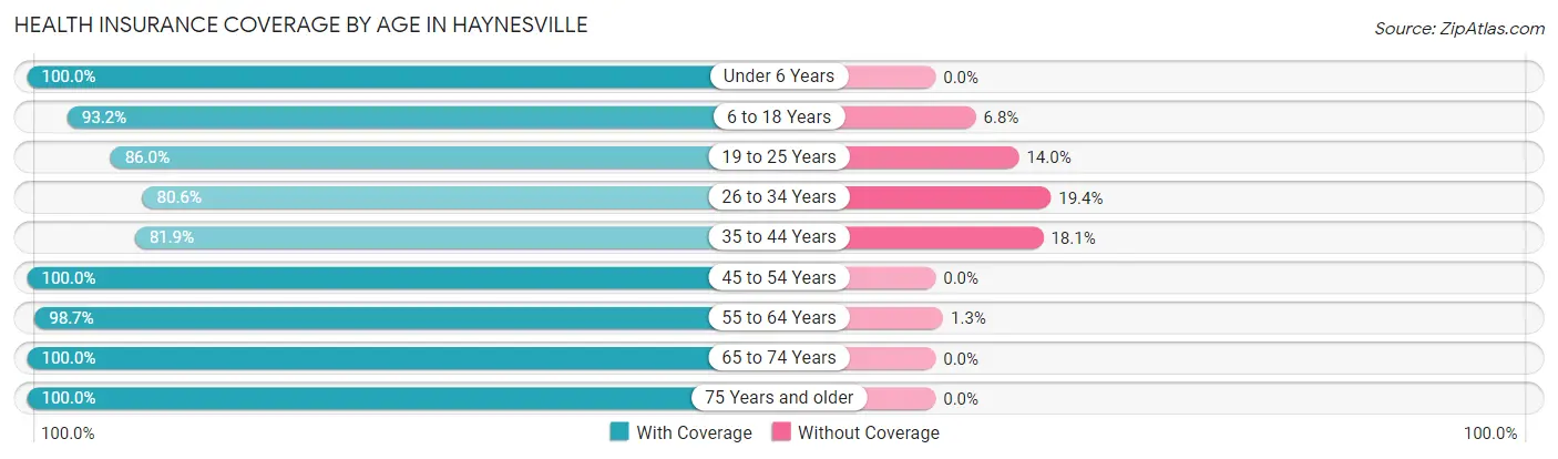 Health Insurance Coverage by Age in Haynesville