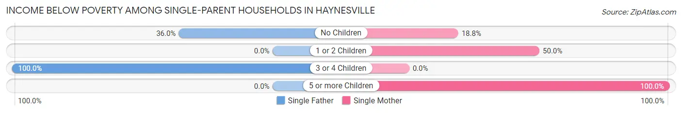Income Below Poverty Among Single-Parent Households in Haynesville