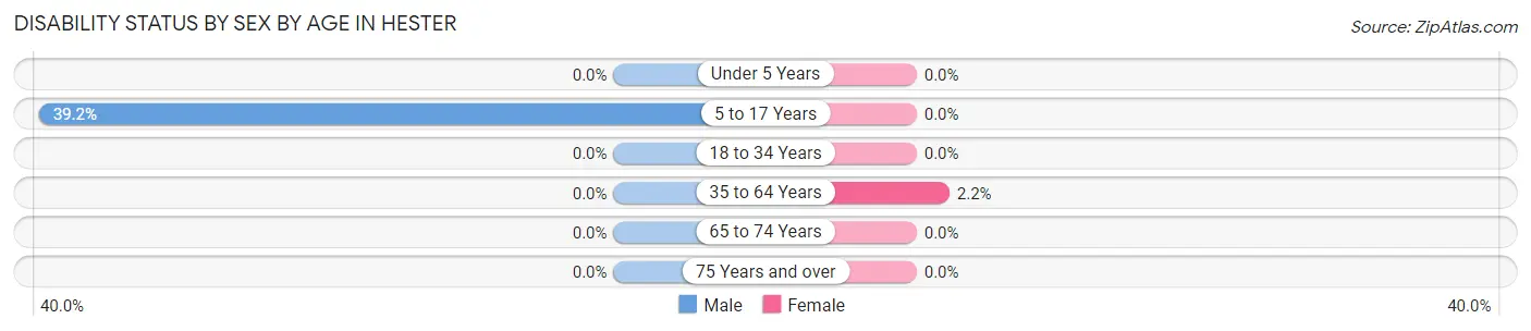 Disability Status by Sex by Age in Hester
