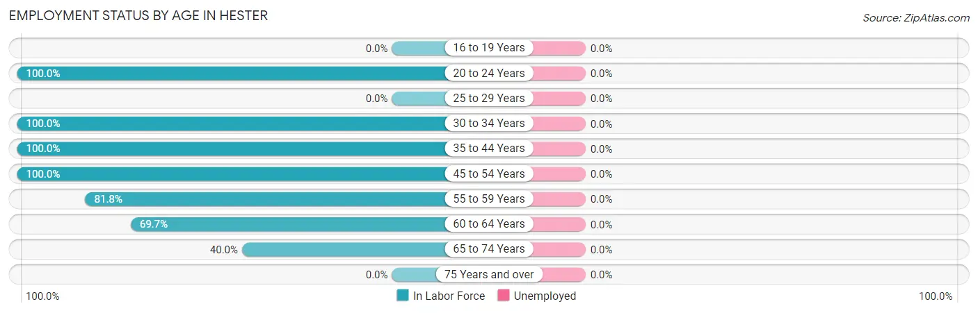 Employment Status by Age in Hester