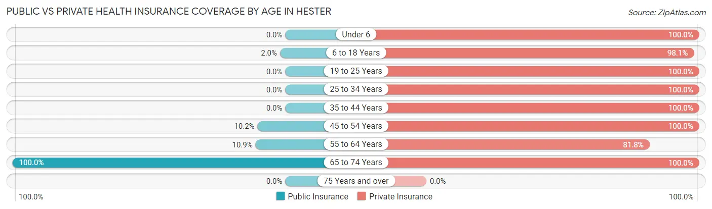 Public vs Private Health Insurance Coverage by Age in Hester