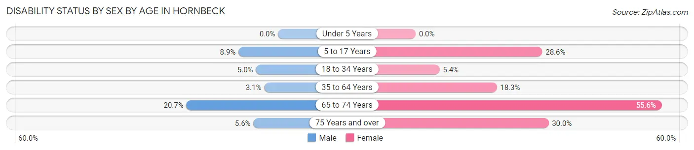 Disability Status by Sex by Age in Hornbeck