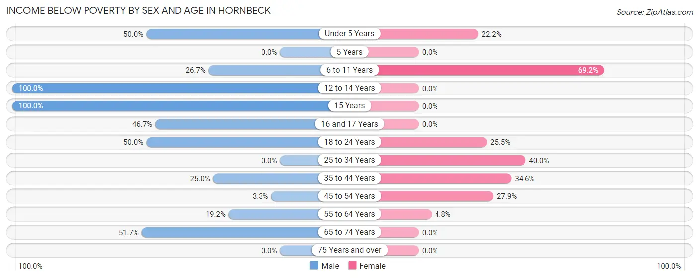Income Below Poverty by Sex and Age in Hornbeck