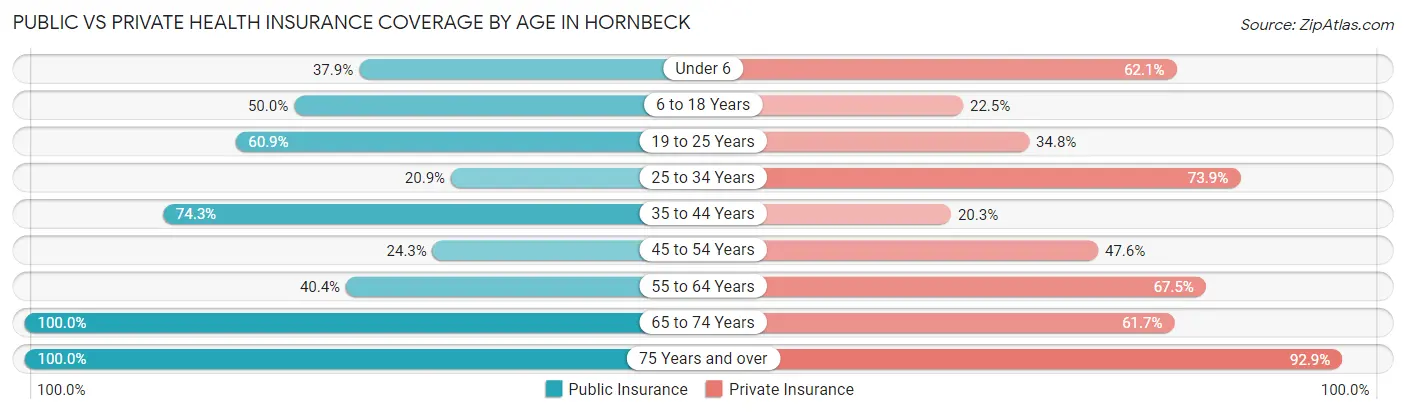 Public vs Private Health Insurance Coverage by Age in Hornbeck