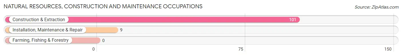 Natural Resources, Construction and Maintenance Occupations in Independence