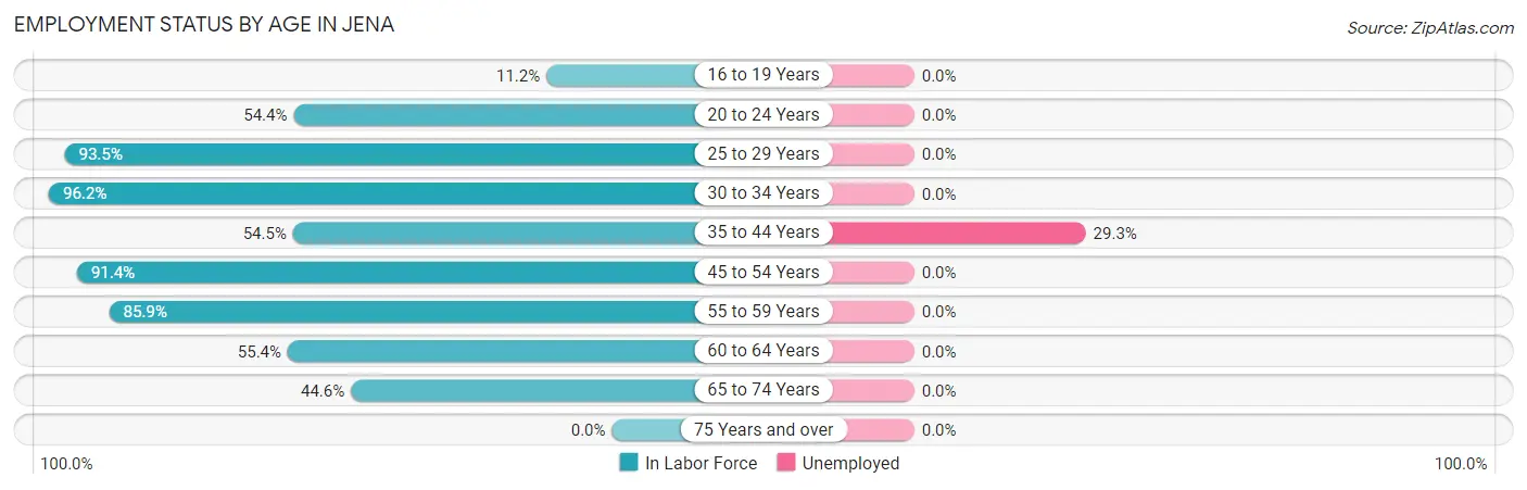 Employment Status by Age in Jena