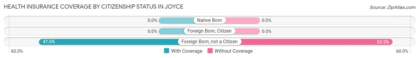 Health Insurance Coverage by Citizenship Status in Joyce