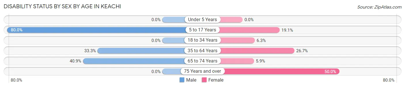 Disability Status by Sex by Age in Keachi