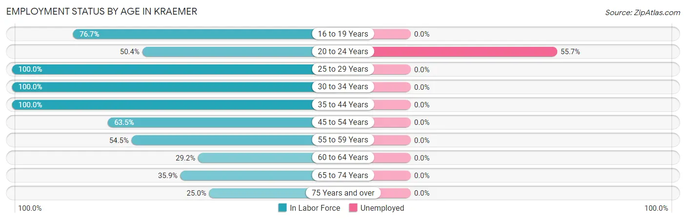 Employment Status by Age in Kraemer