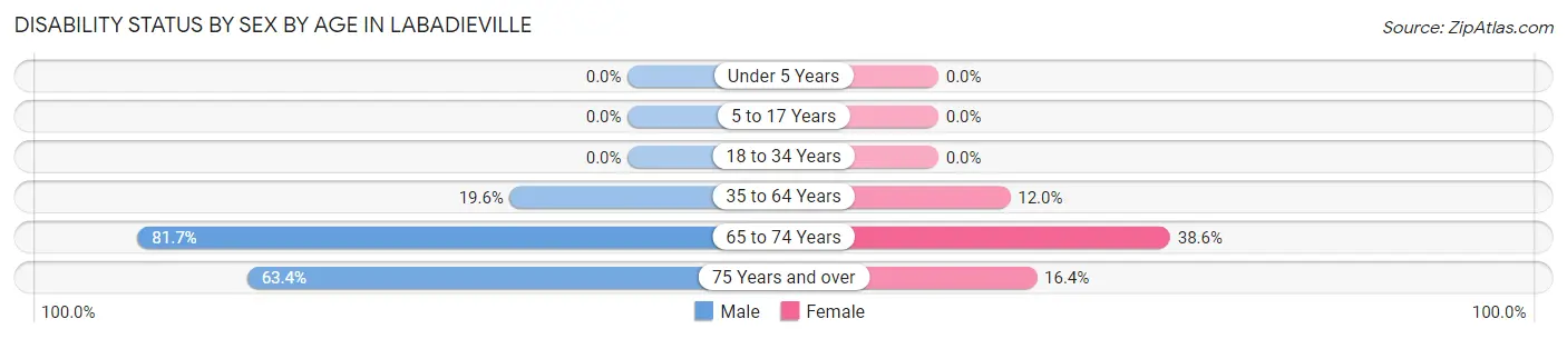 Disability Status by Sex by Age in Labadieville
