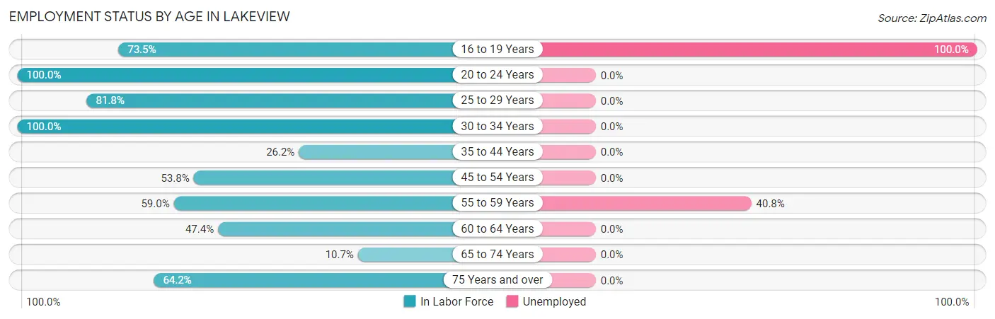 Employment Status by Age in Lakeview