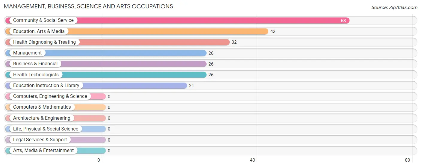 Management, Business, Science and Arts Occupations in Lakeview