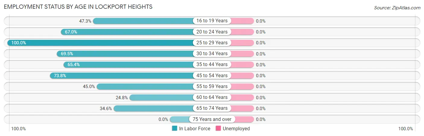 Employment Status by Age in Lockport Heights