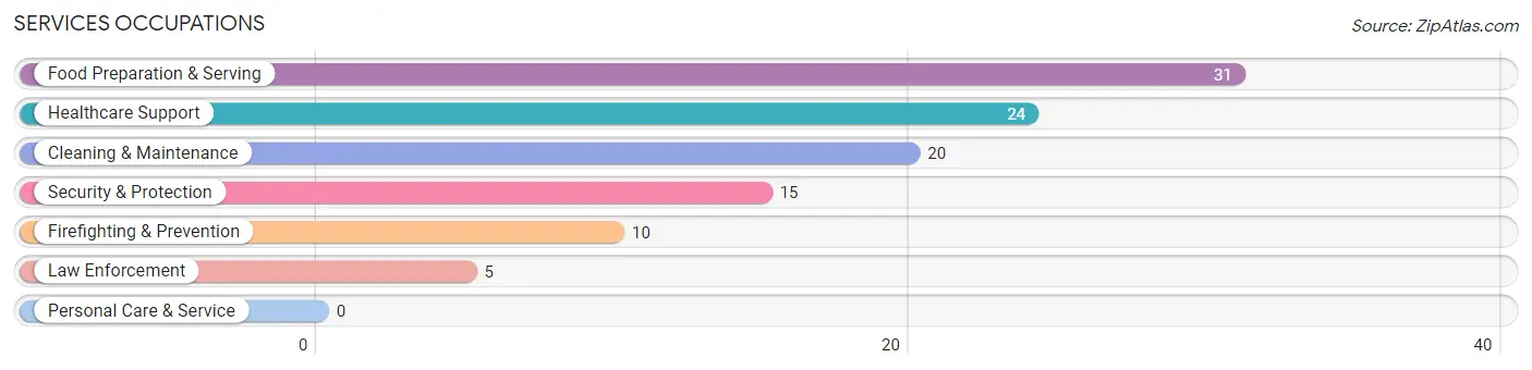 Services Occupations in Lockport