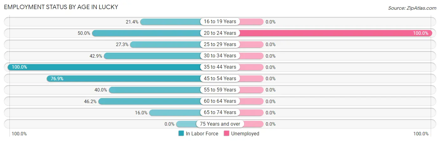 Employment Status by Age in Lucky
