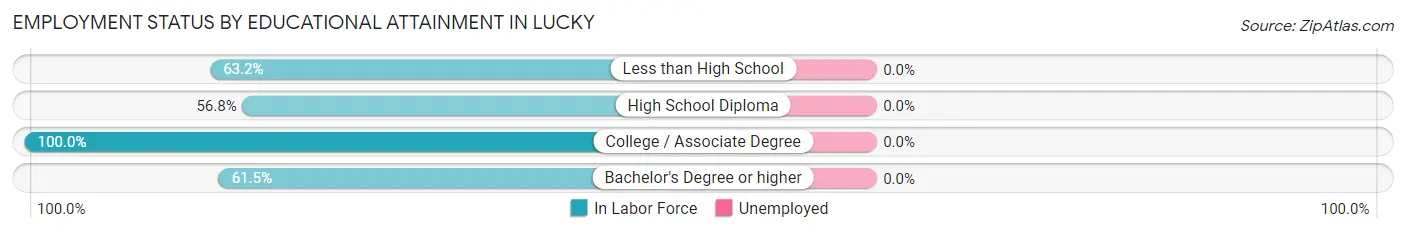 Employment Status by Educational Attainment in Lucky