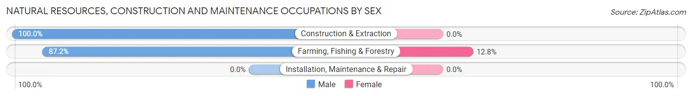 Natural Resources, Construction and Maintenance Occupations by Sex in Lydia