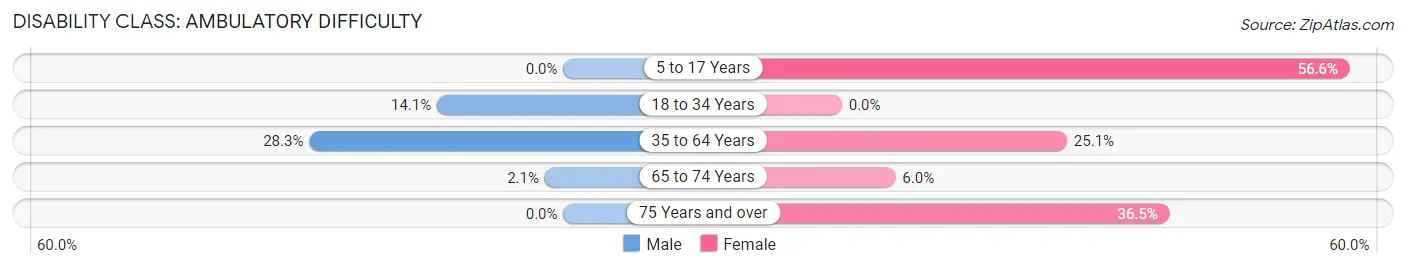 Disability in Mamou: <span>Ambulatory Difficulty</span>