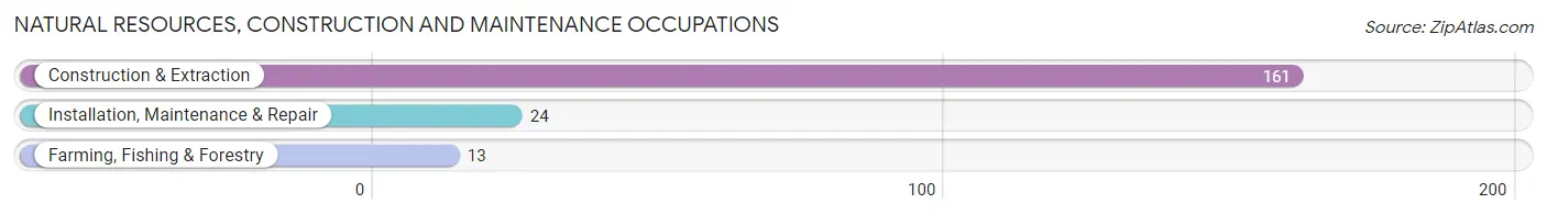 Natural Resources, Construction and Maintenance Occupations in Mamou