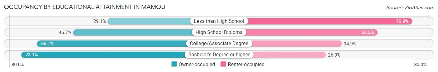 Occupancy by Educational Attainment in Mamou