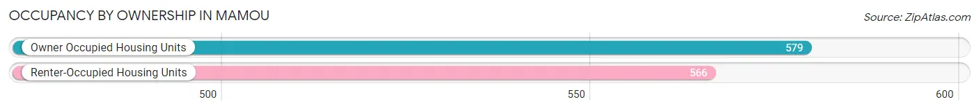 Occupancy by Ownership in Mamou