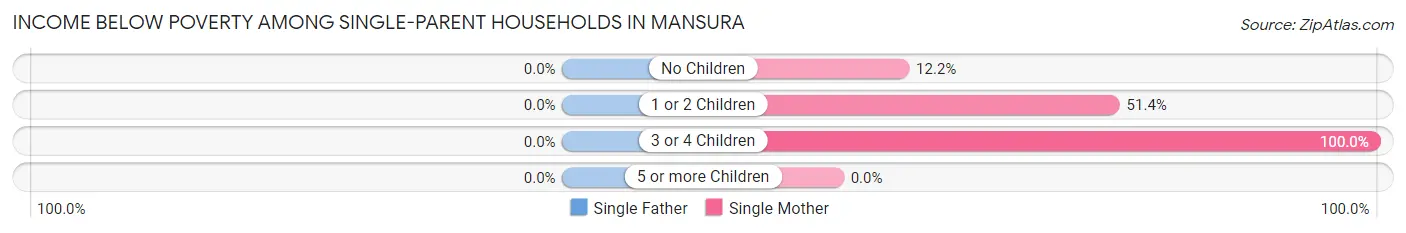 Income Below Poverty Among Single-Parent Households in Mansura