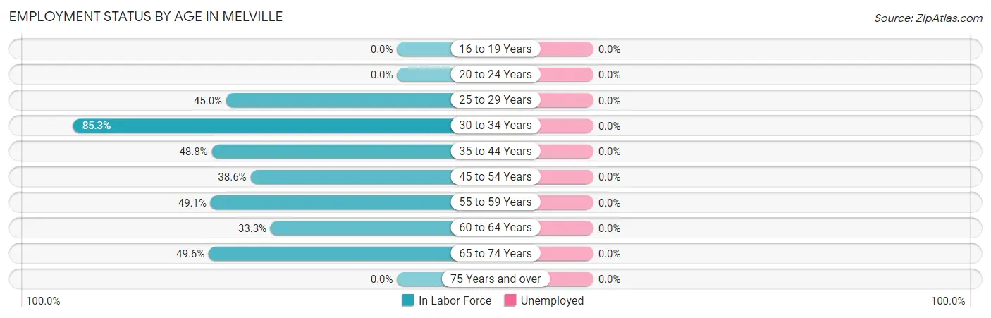 Employment Status by Age in Melville