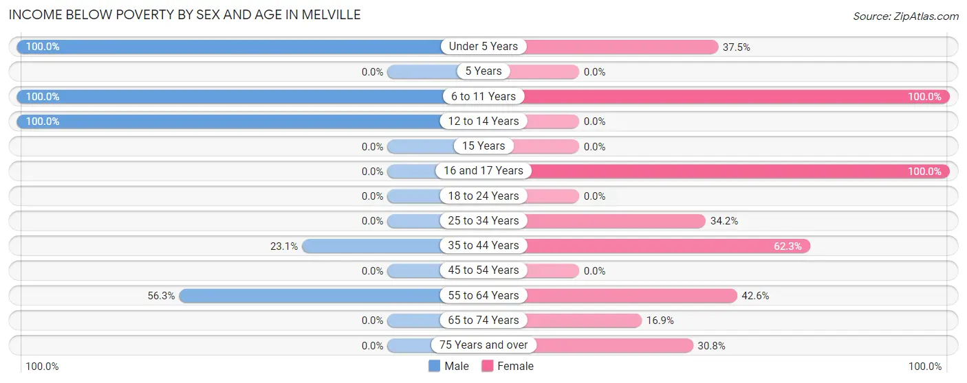 Income Below Poverty by Sex and Age in Melville