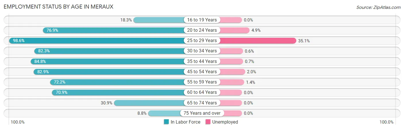 Employment Status by Age in Meraux