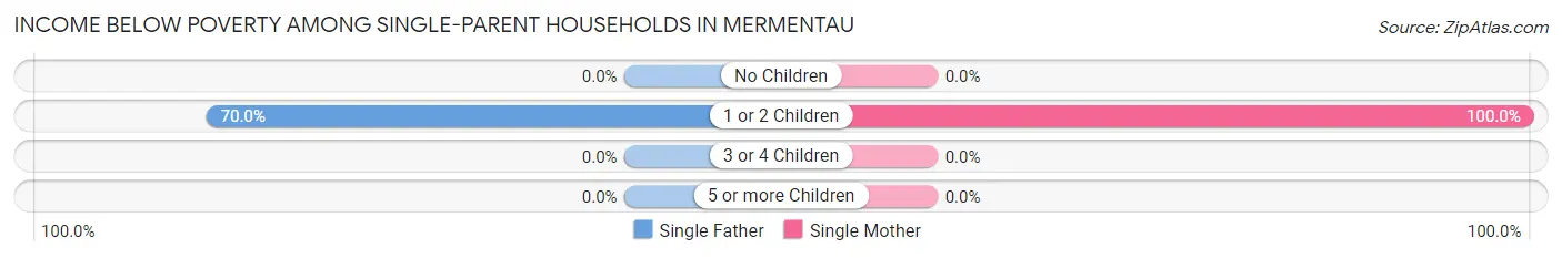 Income Below Poverty Among Single-Parent Households in Mermentau