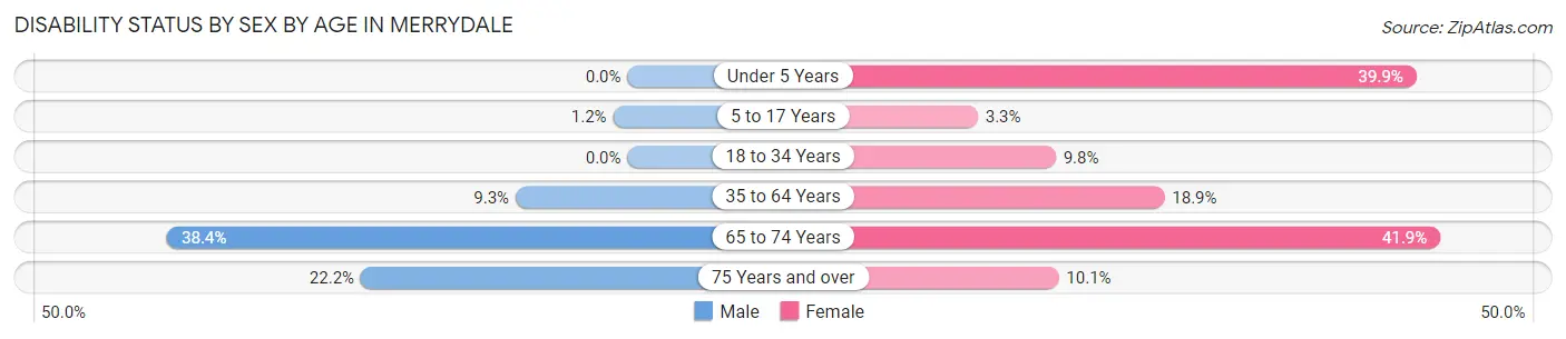 Disability Status by Sex by Age in Merrydale