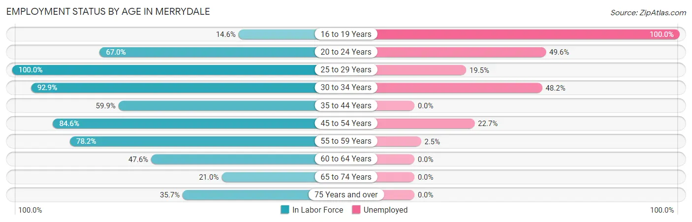 Employment Status by Age in Merrydale