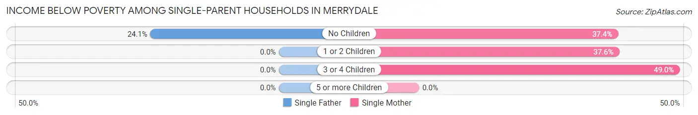 Income Below Poverty Among Single-Parent Households in Merrydale