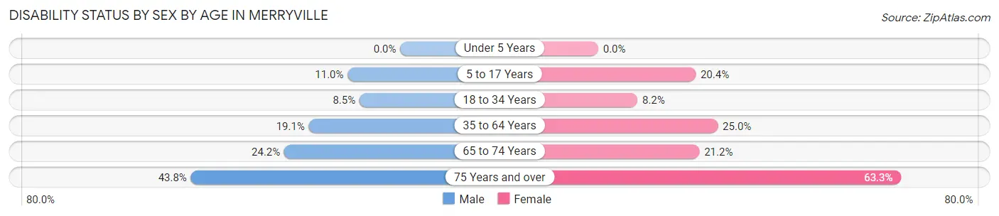 Disability Status by Sex by Age in Merryville