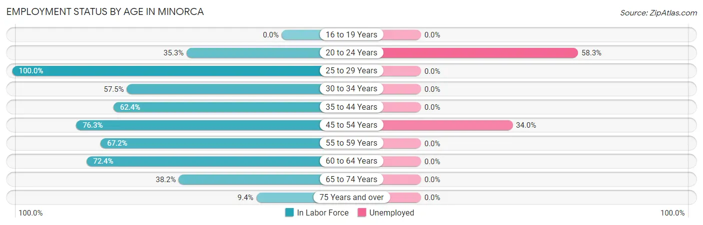 Employment Status by Age in Minorca