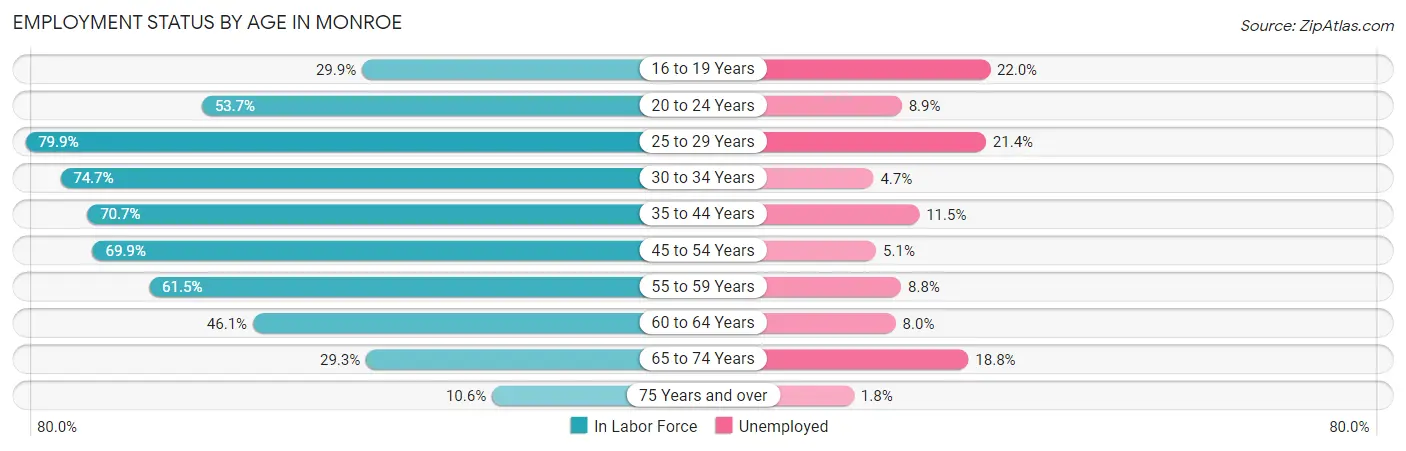 Employment Status by Age in Monroe