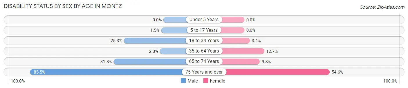 Disability Status by Sex by Age in Montz
