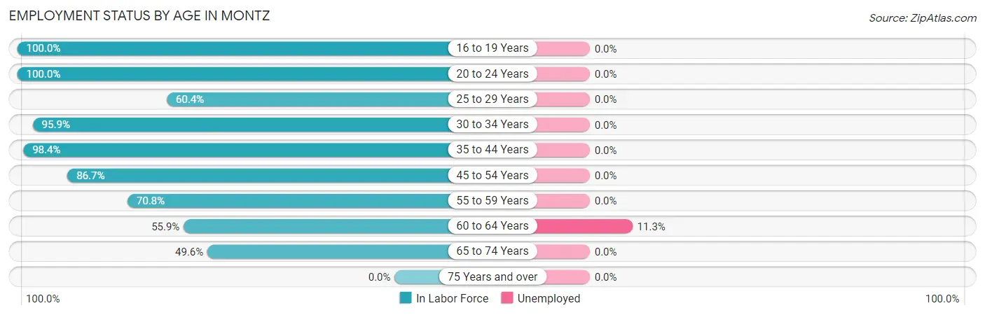 Employment Status by Age in Montz
