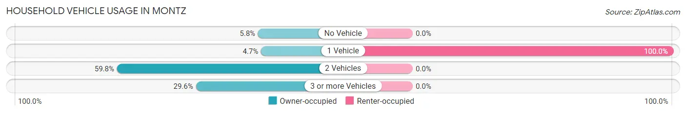 Household Vehicle Usage in Montz