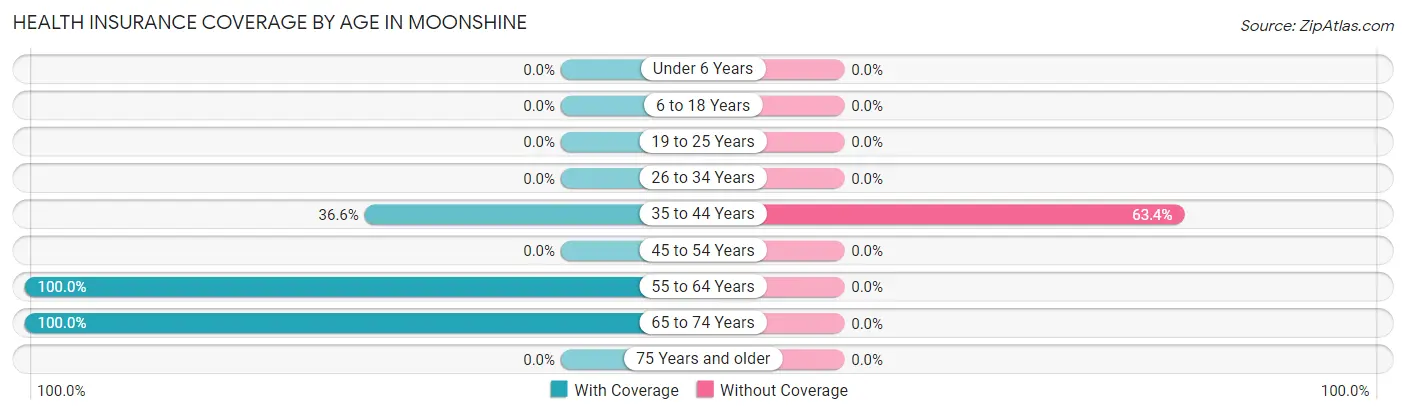 Health Insurance Coverage by Age in Moonshine