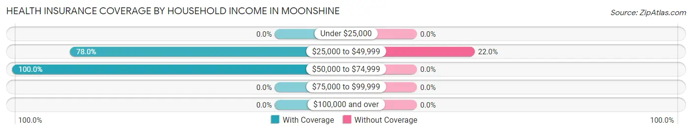 Health Insurance Coverage by Household Income in Moonshine