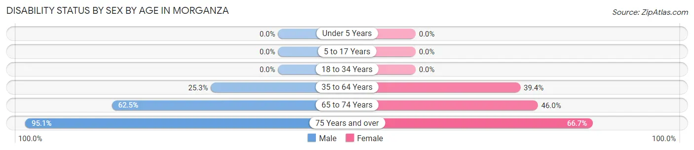 Disability Status by Sex by Age in Morganza