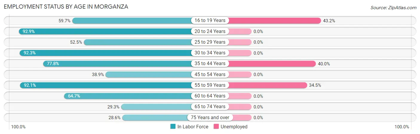 Employment Status by Age in Morganza